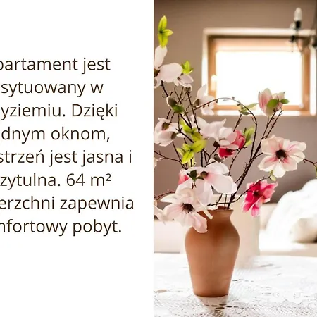 Magnolia Zakopane